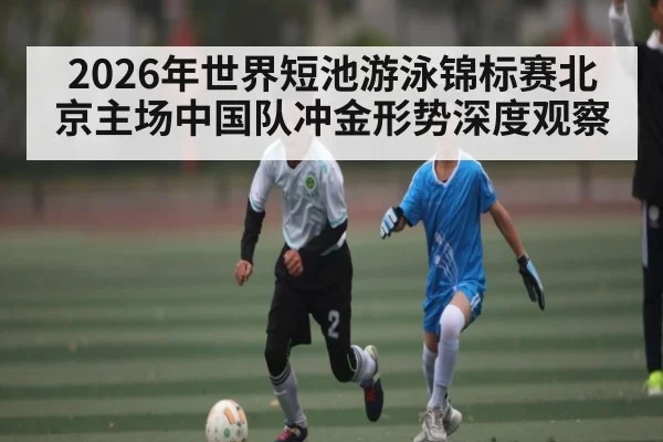 2026年世界短池游泳锦标赛北京主场中国队冲金形势深度观察